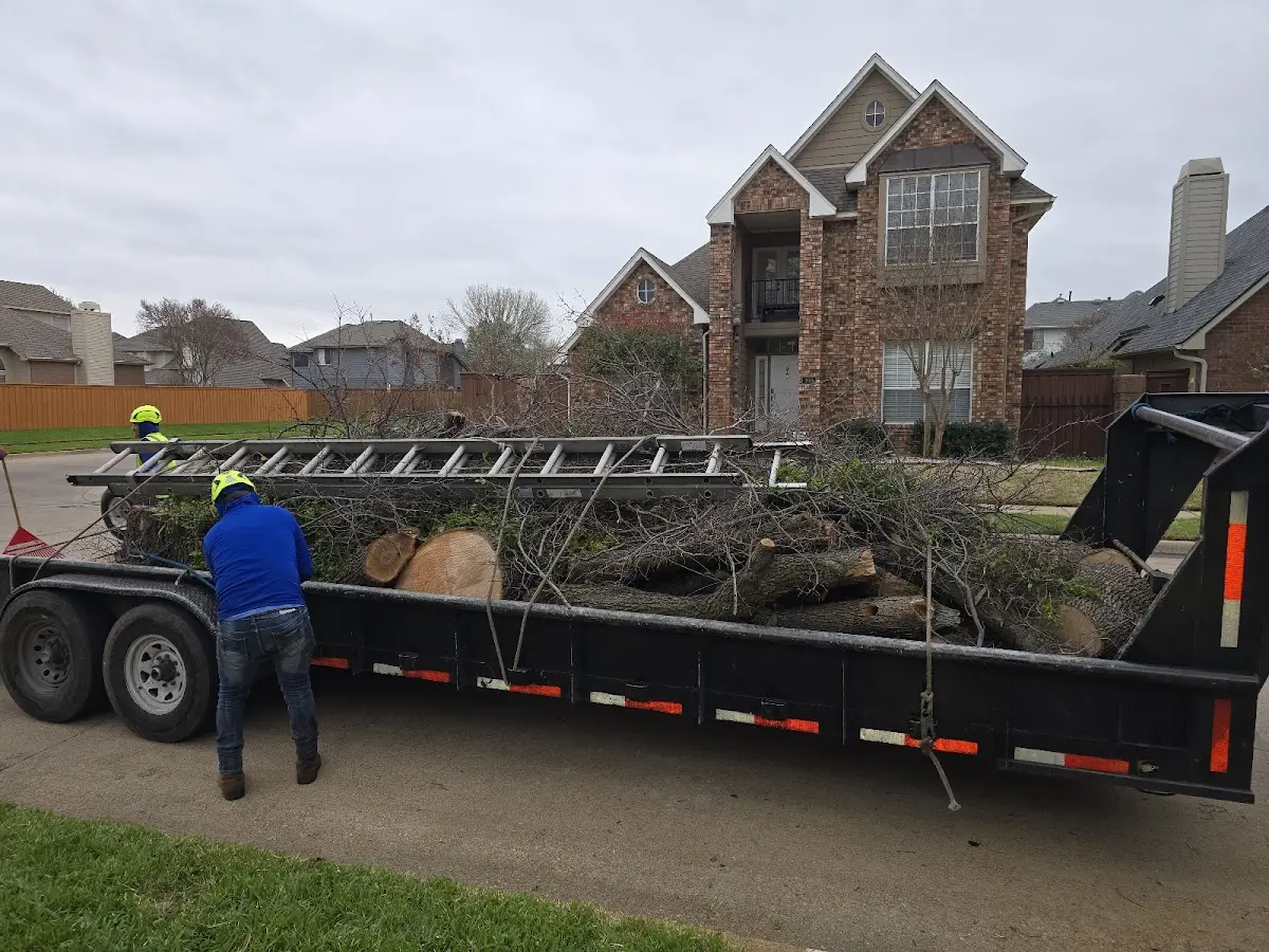 Expert Tree Pest Control with proper safety equipment in Davis Junction